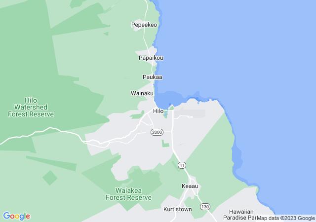 Google Map image for Hilo, Hawaii