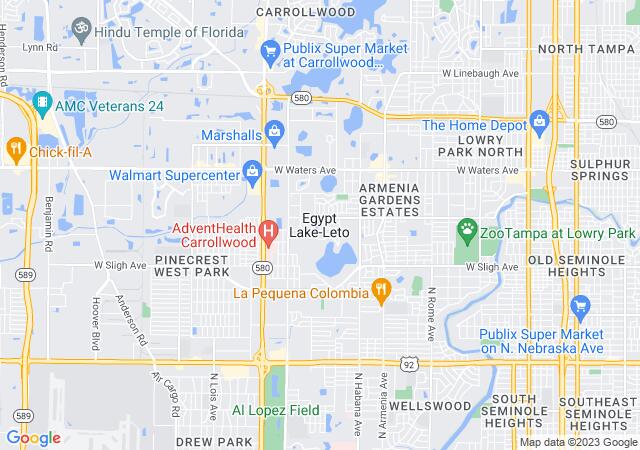 Google Map image for Egypt Lake-Leto, Florida