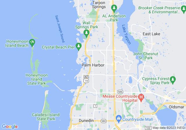 Google Map image for Palm Harbor, Florida