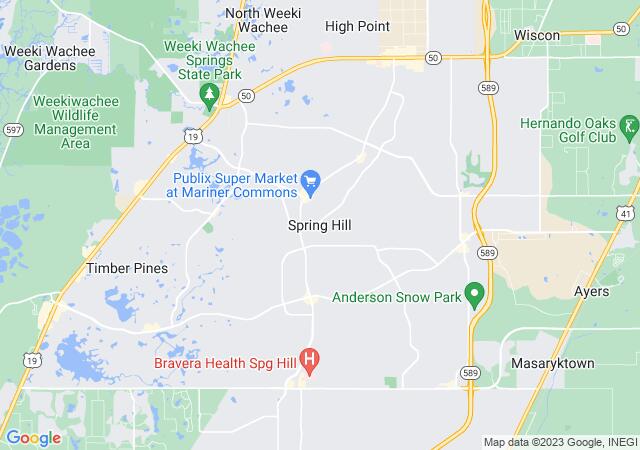 Google Map image for Spring Hill, Florida